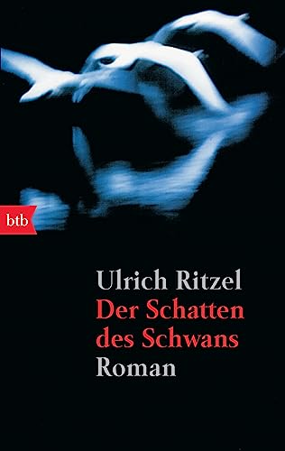 Der Schatten des Schwans (Berndorf ermittelt, Band 1)