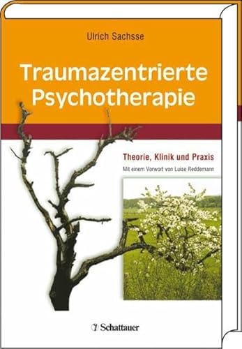 Traumazentrierte Psychotherapie: Theorie, Klinik und Praxis