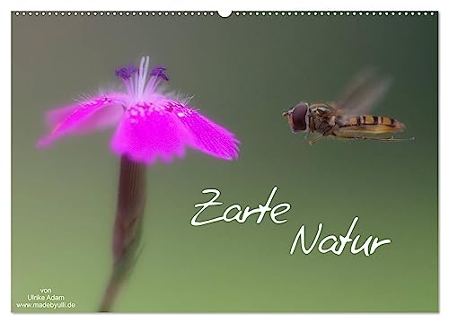 Zarte Natur 2025 (Wandkalender 2025 DIN A2 quer), CALVENDO Monatskalender von CALVENDO
