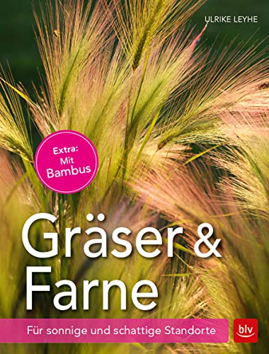 Gräser und Farne: Für sonnige und schattige Standorte