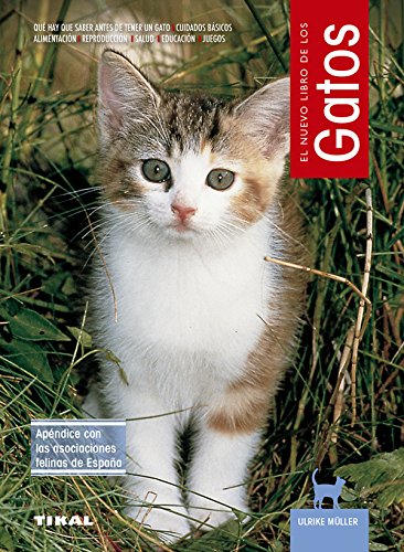 Gatos Gatos von Tikal