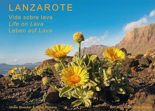 Lanzarote - Leben auf Lava: Vida sobre lava - Life on Lava