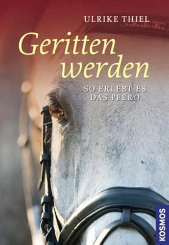 Geritten werden: So erlebt es das Pferd