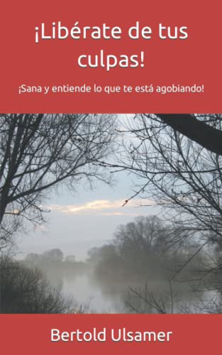 ¡Libérate de tus culpas!: ¡Sana y entiende lo que te está agobiando! ¡Libérate de tus culpas!: ¡Sana y entiende lo que te está agobiando! von 978-3-949494