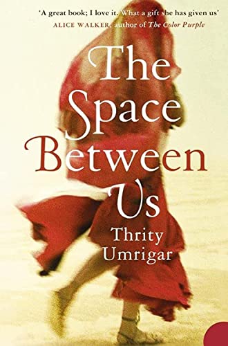 The Space Between Us: A powerful contemporary literary historical fiction novel exploring timeless themes