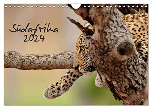 Südafrika (Wandkalender 2024 DIN A4 quer), CALVENDO Monatskalender von CALVENDO