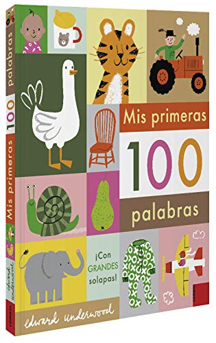 Mis primeras 100 palabras von Combel Editorial