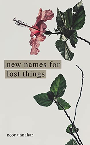New Names for Lost Things von Andrews McMeel Publishing