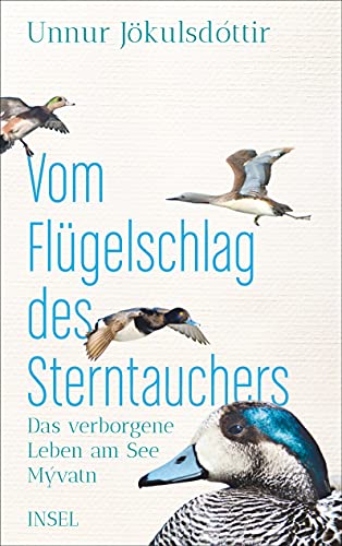 Vom Flügelschlag des Sterntauchers: Das verborgene Leben am See Mývatn von Insel Verlag