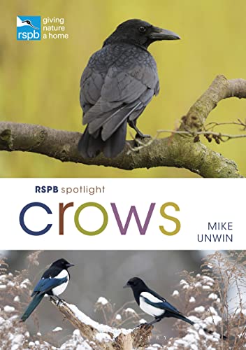 RSPB Spotlight Crows von Bloomsbury