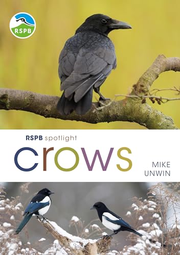 RSPB Spotlight Crows von Bloomsbury Wildlife