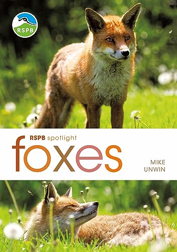 RSPB Spotlight: Foxes von Bloomsbury