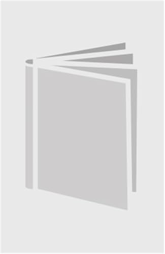 Into the Beautiful North: A Novel