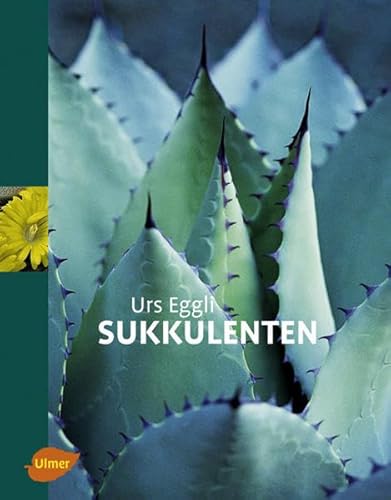 Sukkulenten Sukkulenten
