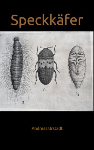 Speckkäfer Speckkäfer