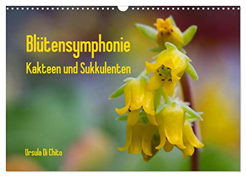 Blütensymphonie - Kakteen und Sukkulenten (Wandkalender 2025 DIN A3 quer), CALVENDO Monatskalender von CALVENDO