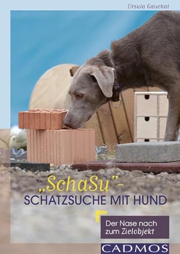 SchaSu" - Schatzsuche mit Hund: Der Nase nach zum Zielobjekt