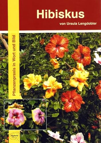 Hibiskus: Pflanzenpraxis in Wort und Bild: Pflanzenpraxis in Wort und Bild. 273 Sortenbeschreibungen