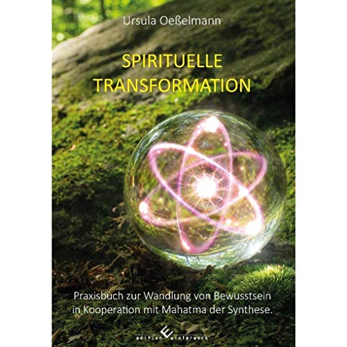 Spirituelle Transformation: Praxisbuch zur Wandlung von Bewusstsein in Kooperation mit Mahatma der Synthese von Winterwork