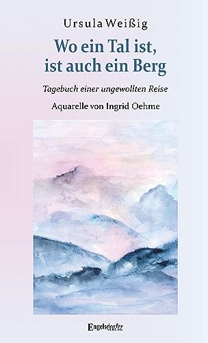 Wo ein Tal ist, ist auch ein Berg: Tagebuch einer ungewollten Reise