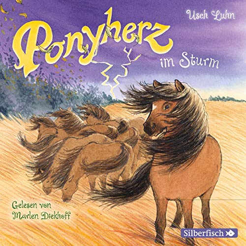 Ponyherz 14: Ponyherz im Sturm: 1 CD (14)