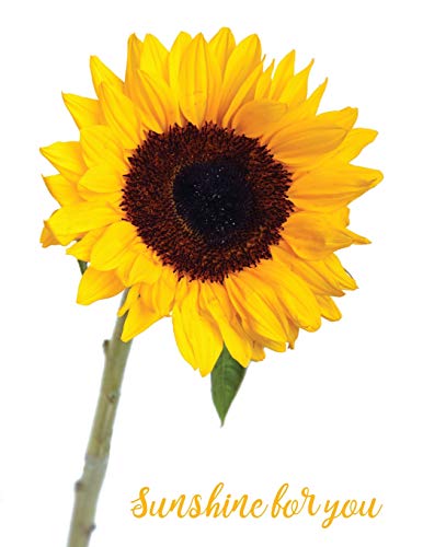 Sunshine For YOU | Yellow Sunflower Large Composition Book Notebook: 120 Page Blank Lined Wide Ruled Journal For Girls, Letter Size (8.5 x 11 in) von CreateSpace Independent Publishing Platform