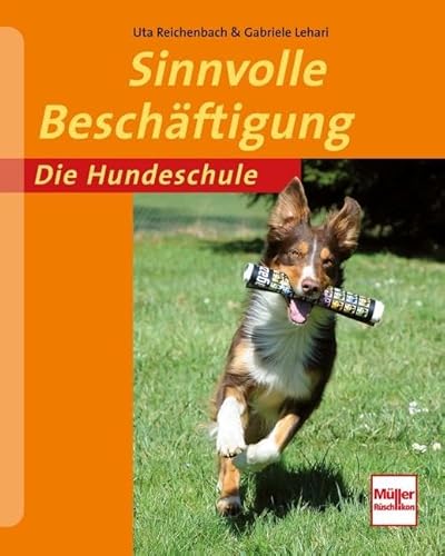 Sinnvolle Beschäftigung: Die Hundeschule