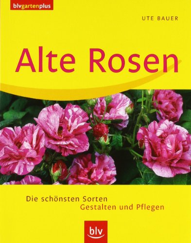 Alte Rosen: Die schönsten Sorten · Gestalten und Pflegen