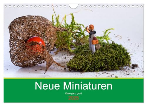 Neue Miniaturen - Klein ganz groß 2.0 (Wandkalender 2025 DIN A4 quer), CALVENDO Monatskalender von CALVENDO