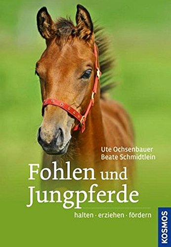 Fohlen und Jungpferde: halten, erziehen, fördern