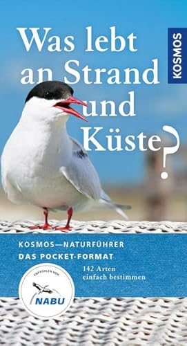 Was lebt an Strand und Küste?: 142 Arten einfach bestimmen