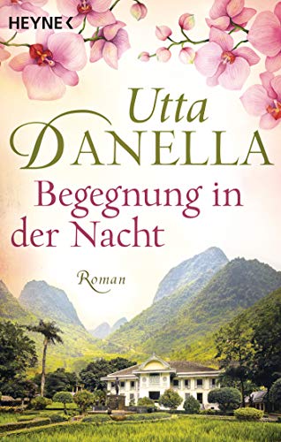 Begegnung in der Nacht: Roman von HEYNE