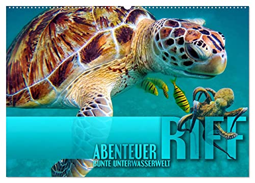 Abenteuer Riff - bunte Unterwasserwelt (Wandkalender 2024 DIN A2 quer), CALVENDO Monatskalender