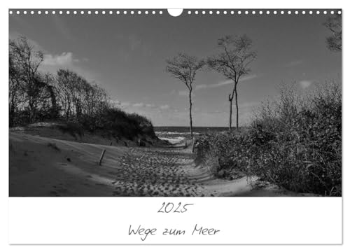 Wege zum Meer (Wandkalender 2025 DIN A3 quer), CALVENDO Monatskalender: Wege zum Meer zwischen Rostock und Usedom von CALVENDO