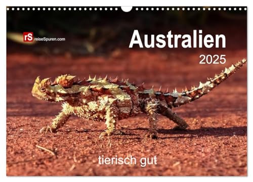 Australien tierisch gut 2025 (Wandkalender 2025 DIN A3 quer), CALVENDO Monatskalender von CALVENDO