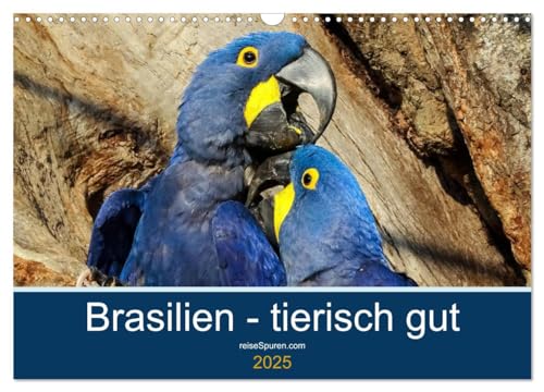 Brasilien tierisch gut 2025 (Wandkalender 2025 DIN A3 quer), CALVENDO Monatskalender von CALVENDO