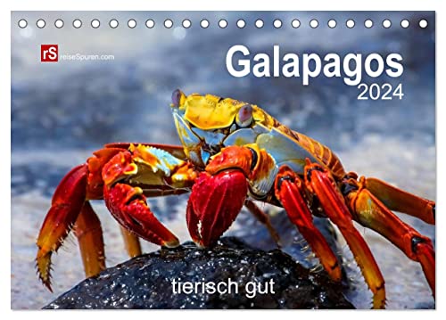 Galapagos 2024 tierisch gut (Tischkalender 2024 DIN A5 quer), CALVENDO Monatskalender von CALVENDO