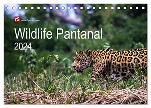 Wildlife Pantanal 2024 (Tischkalender 2024 DIN A5 quer), CALVENDO Monatskalender von CALVENDO