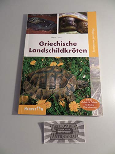 Griechische Landschildkröten: Pflege und Zucht: Pflege und Vermehrung