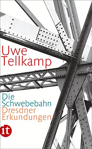 Die Schwebebahn: Dresdner Erkundungen (insel taschenbuch) von Insel Verlag GmbH