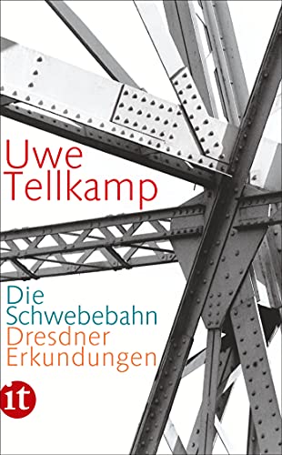 Die Schwebebahn: Dresdner Erkundungen (insel taschenbuch)