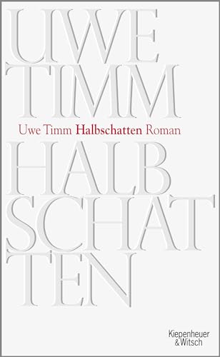 Halbschatten: Roman