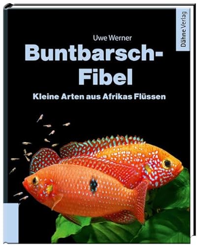 Buntbarsch-Fibel Afrika von Dähne Verlag