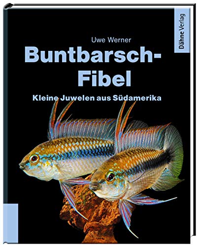 Buntbarsch-Fibel Südamerika: Kleine Juwelen aus Südamerika von Daehne Verlag