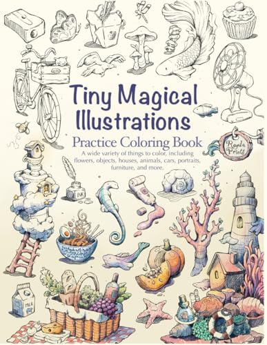 Tiny Magical Illustrations Practice Coloring Book: Flowers, Objects, Houses, Animals, Cars, Portraits, Furniture von Independently published