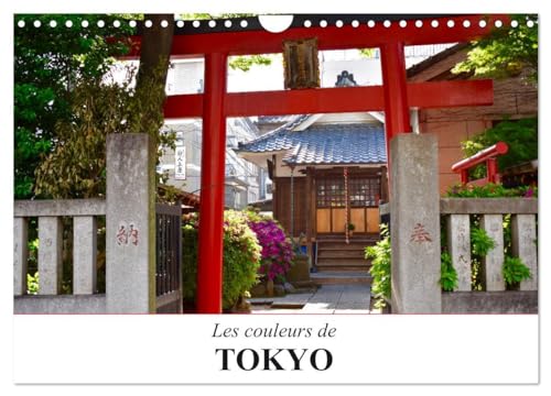 Les couleurs de Tokyo (Calendrier mural 2025 DIN A4 vertical), CALVENDO calendrier mensuel: Un voyage coloré au coeur de la fascinante métropole Japonaise von Calvendo