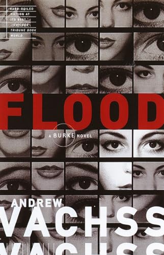 Flood (Burke Series, Band 1) von Vintage Crime/Black Lizard