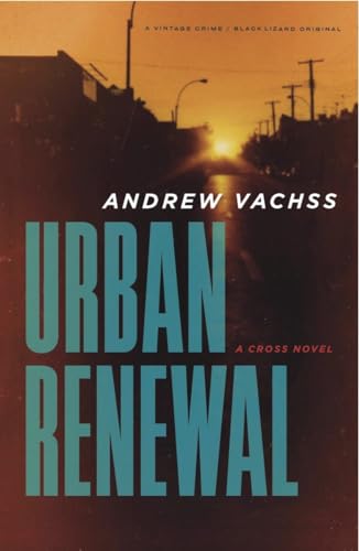 Urban Renewal: A Cross Novel (Cross Series, Band 2)