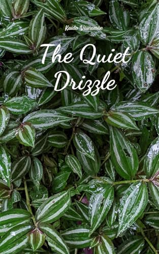 The Quiet Drizzle von Swan Charm Publishing