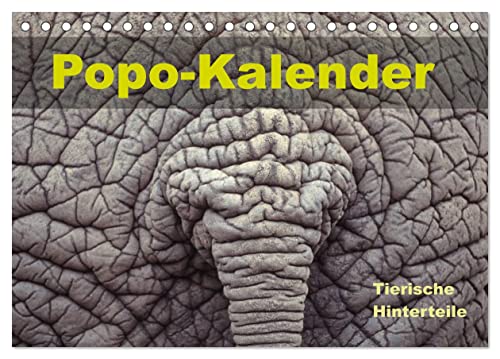 Popo-Kalender (Tischkalender 2024 DIN A5 quer), CALVENDO Monatskalender von CALVENDO